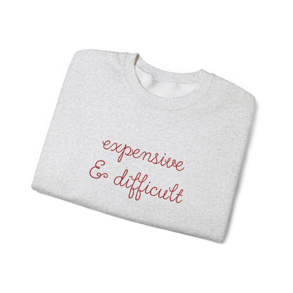 Expensive & Difficult Embroidered Sweatshirt