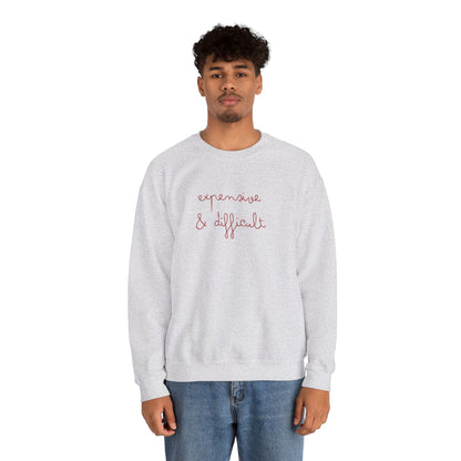 Expensive & Difficult Embroidered Sweatshirt