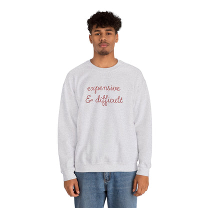 Expensive & Difficult Embroidered Sweatshirt