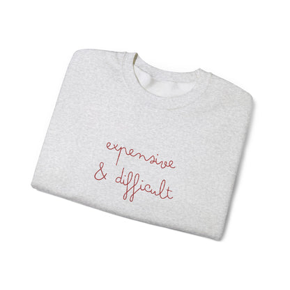 Expensive & Difficult Embroidered Sweatshirt